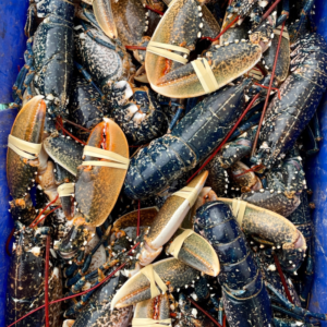 Dinings Lobsters 3